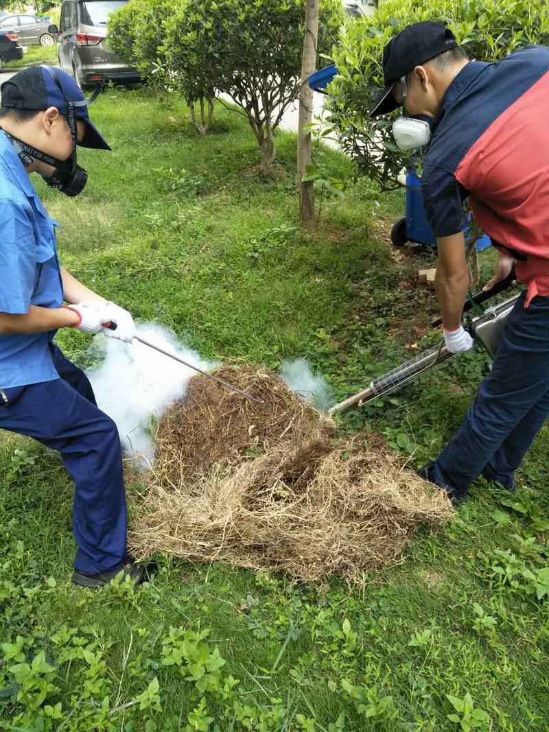 南宁灭鼠控虫