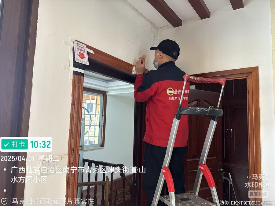 家庭白蚁防治