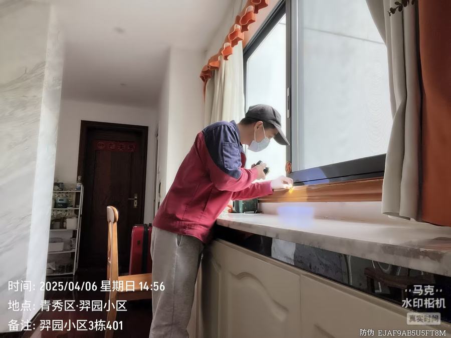 家庭白蚁防治