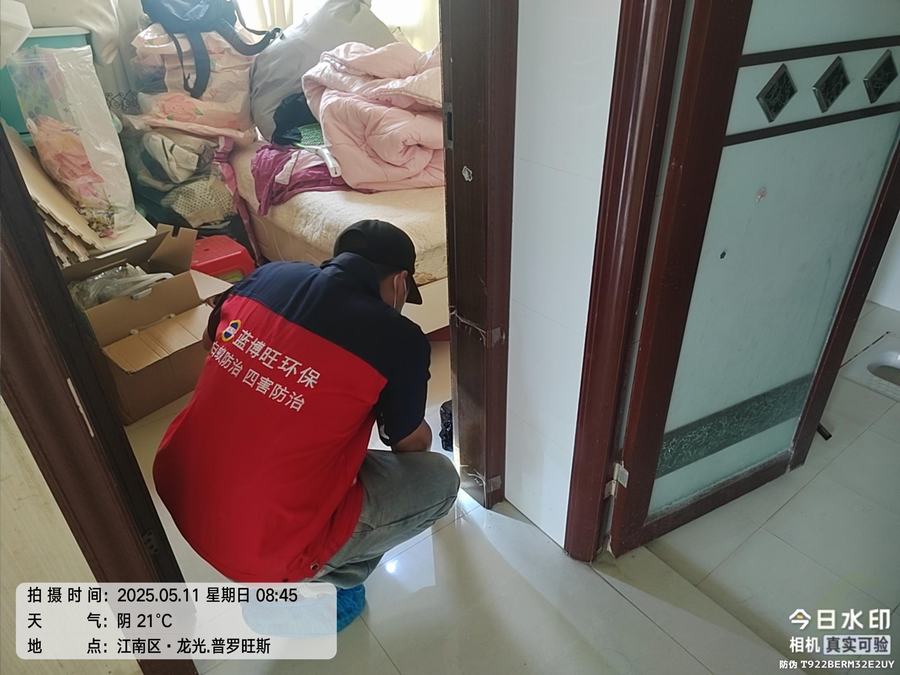 家庭白蚁防治