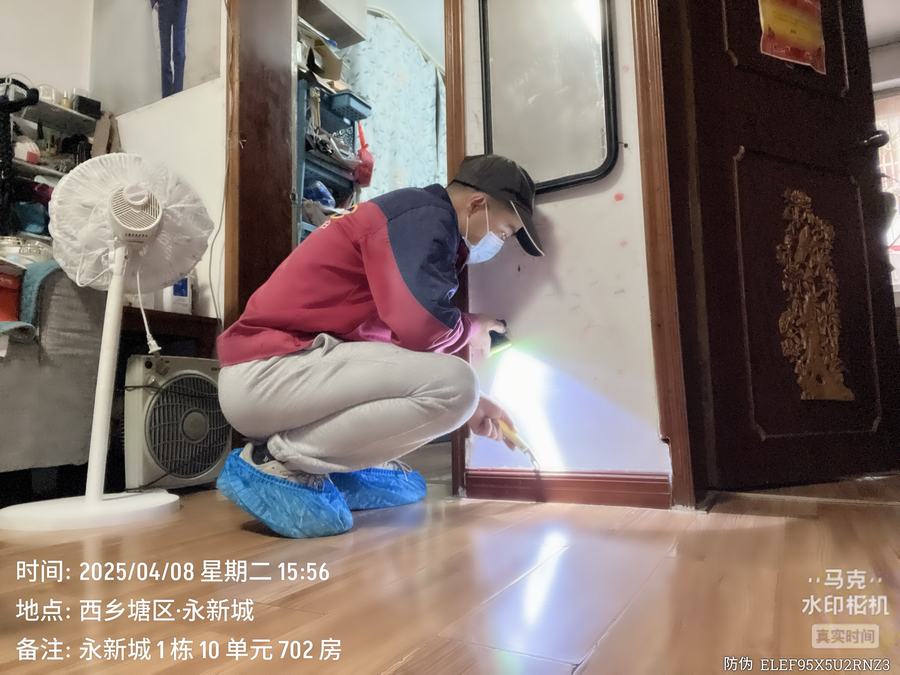 家庭白蚁防治