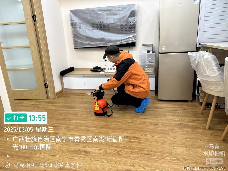 家庭白蚁防治